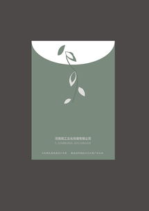 融合企業(yè)形象VI設(shè)計(jì)與文化藝術(shù)交流，構(gòu)建品牌新生態(tài)