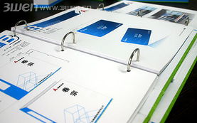 企業(yè)形象塑造的藝術(shù) 從VI設(shè)計到品牌文化落地